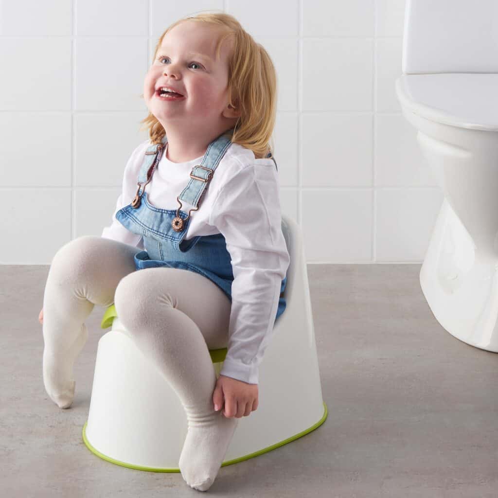 portable toddler potty