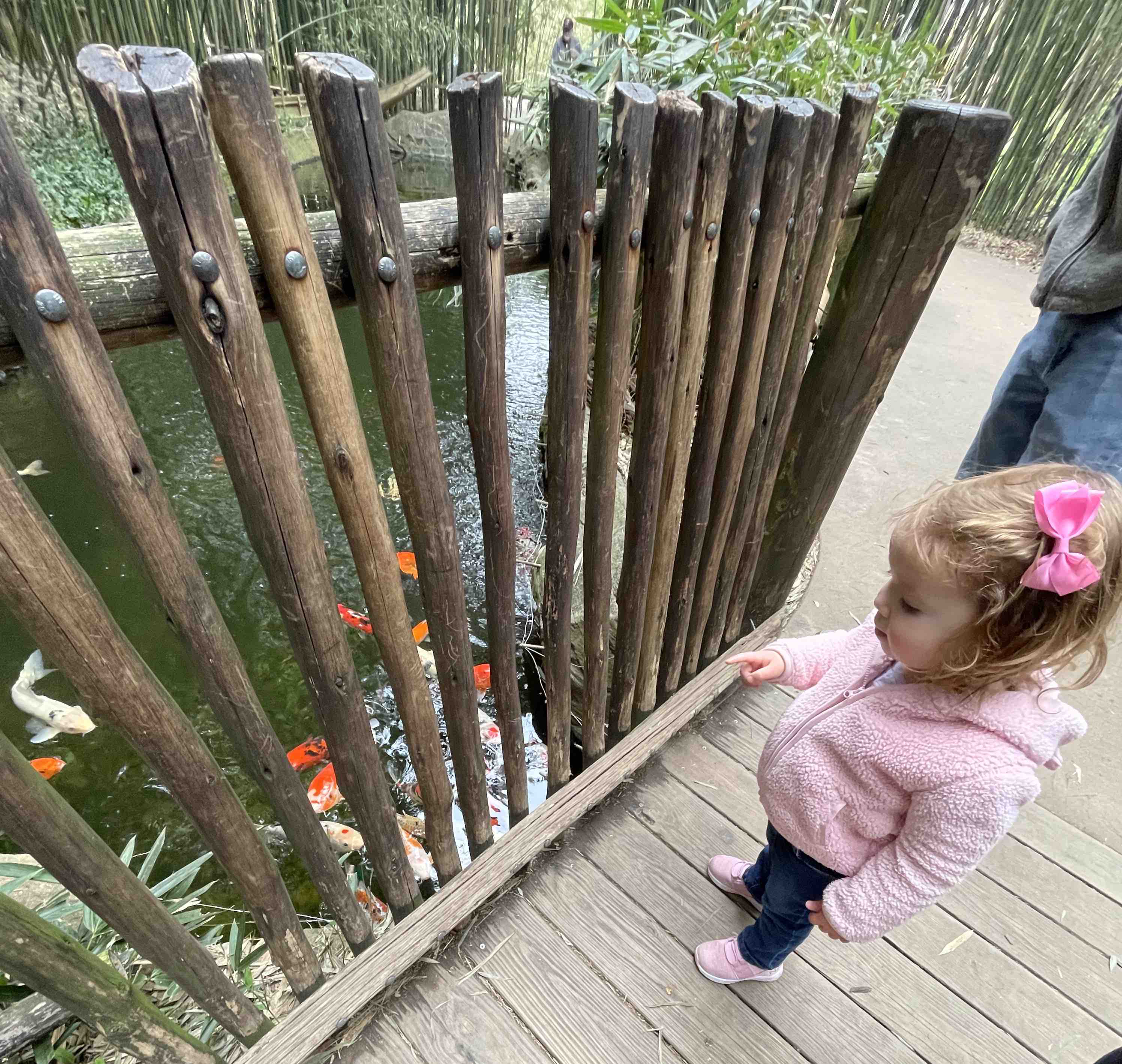 nashville zoo with kids
