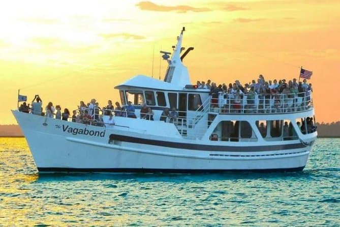 dolphin cruise ship hilton head island