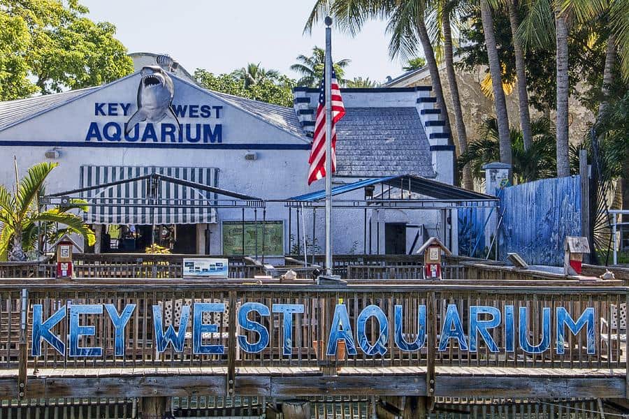 key west aquarium